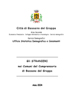 Cittadini stranieri nel comprensorio bassanese 2004