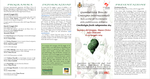 Programma del convegno Brocchi