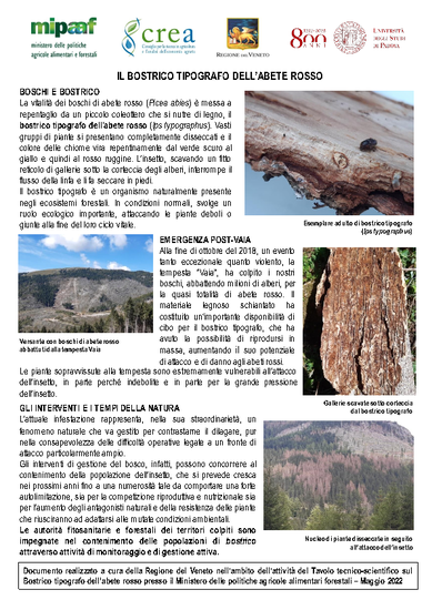 Volantino Regione Veneto 