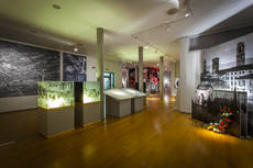 Immagine decorativa