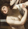 Immagine decorativa