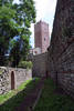 Immagine decorativa