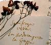 Immagine decorativa