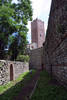 Immagine decorativa