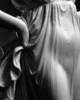 Immagine decorativa