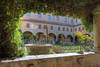 Immagine decorativa