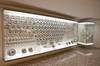 Immagine decorativa